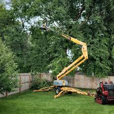 Best Grass Overseeding  in Huntsville, TN