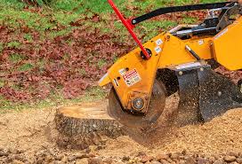 Best Tree Disease Treatment  in Huntsville, TN