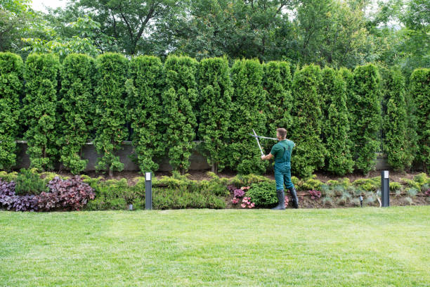 Best Tree Risk Assessment  in Huntsville, TN